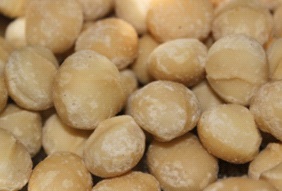 Noix de macadamia 16-21mm