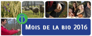 Sans titre