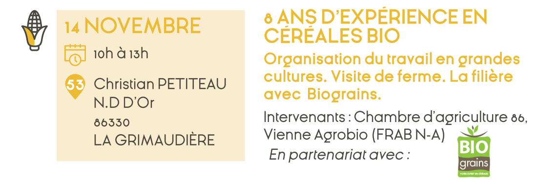 Sans titre