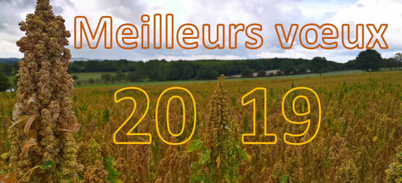Sans titre